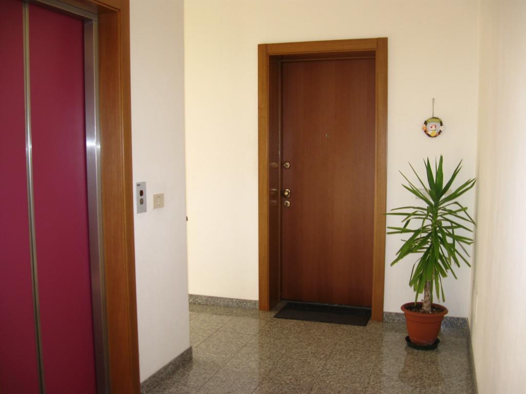 Masetto